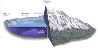 Image result for Craterostigma newtonii