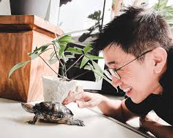 The Secret Life Of City Harvest Pets