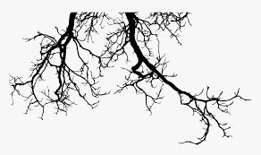 Maybe you would like to learn more about one of these? Tree Branch Silhouette Png Transparent Png Kindpng