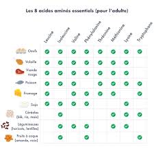 Micronutrition Tout Savoir Sur Les Acides Amines Essentiels Acide Amine Essentiel Acide Amine Amine