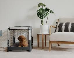 • make sure your dog's crate is placed in an environmentally comfortable location. Diggs Dog Crate Gives Your Furry Friend A Home As Well Designed As Your Own Dwell