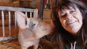 How Fern the pig found a storybook ending