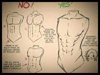 Third, the muscles of the torso do not move just the torso (vertebral column and rib cage) but also the shoulder girdle, which includes the scapula bones and there are many ways to categorize the torso muscles. Figure Drawing How To Draw Human Body Torso With Lesson And People S Bodies Torsoes For Creating Cartoons Comics Illustrations Characters