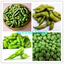 Jangan lupa rendam kacang hijau. Jual 10 Biji Benih Kacang Kedelai Dele Kedele Jepang Edamame Hijau Soya Japanese Soybeans Import Online Mei 2021 Blibli