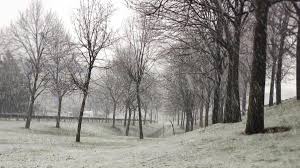 Kurak kış derken, kar yağmayacak mı sorusunu da akla getiriyor. Jhy Scb1 Jkkcm