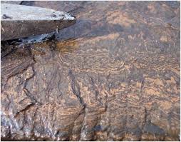 النفط الصخري هو زيت غير تقليدي ينتج من شظايا الصخر الزيتي بواسطة الانحلال الحراري أو الهدرجة أو التذويب الحراري. Ù‡Ù„ ÙŠØ³Ù‚Ø· Ø§Ù„Ù†ÙØ· Ø§Ù„ØµØ®Ø±ÙŠ Ø§Ù„Ø³Ø¹ÙˆØ¯ÙŠØ© Ù…Ù† ÙÙˆÙ‚ Ø¹Ø±Ø´Ù‡Ø§ Ø³Ø§Ø³Ø© Ø¨ÙˆØ³Øª