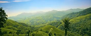Costa Rica A World Of Nature National Park Traveller