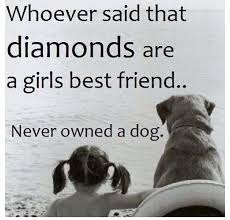 Dogs are girls best friend, not diamonds or pink or dresses. Facebook