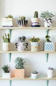 Create a free account today and start downloading live streams and videos from all of your favorite sites. Ezhednevnik Home Decor Accessories Plants Decor