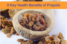 .propolis resin, propolis wax, red propolis, résine de propolis, russian penicillin, synthetic propolis is rarely available in its pure form. 9 Key Health Benefits Of Propolis You Have To Look Forward To