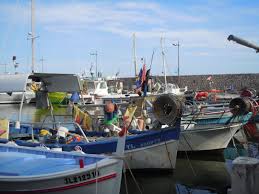 Port Carqueiranne Pointus De Peche Barque Bateaux Cote D Azur