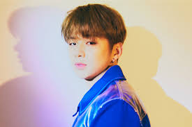 Whosfan:Visión] Las fans de Kang Daniel reciben un nuevo nombre,  "DANITY'. “El nombre por el que las fans han esperado 8 meses...  Renacidas como "DANITY" después de catalogarse como "Sin  Nombre"