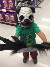 Puppy Monkey Baby My Son Picked Out A Halloween Costume Not Knowing Pics