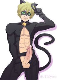 🔞Cat Noir | Hentai Porn | XXX-Gays.com