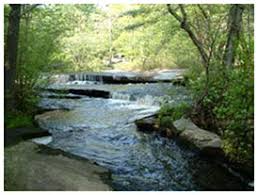 Maybe you would like to learn more about one of these? Ben Utter Trail Exeter Ri Rhode Island Wild Plant Society
