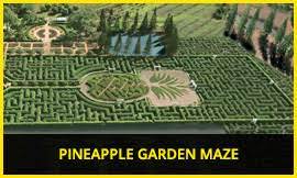 Maybe you would like to learn more about one of these? Pineapple Plantation Best Attractions In Oahu Dole Plantation