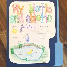 6th Grade Biotic And Abiotic Factors Worksheet Biotic And Abiotic Free Sorting Activity Abiotic Ecosystem Activities 4th Grade Activities