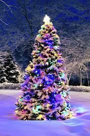 Christmas Tree Outside Christmas Tree Outside Christmas Lights Christmas Tree With Snow