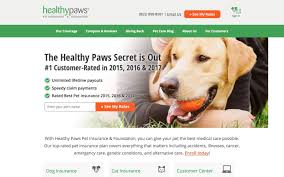 Get an instant quote online today with 4paws pet insurance. Best Pet Insurance Companies