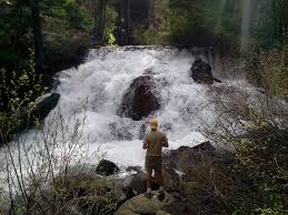 Are you planning on camping in nevada city, california? Great Campgrounds On The Way To Great Places Traildirt Com
