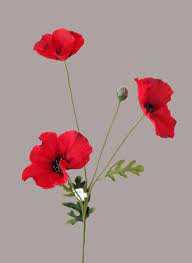 Bouquet coquelicot bleuet marguerite : Coquelicot Artificiel 65 Cm Rouge Coquelicots Et Fleurs Intemporelles Artificielles