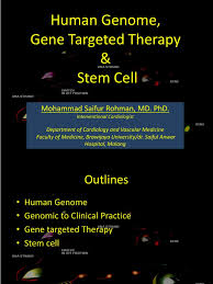 To know more about the wiki markup language visit wikipedia's help: Genome Tkppds Pptx Stem Cell Gene Therapy