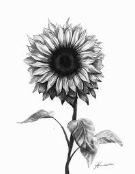 Sunflowers Art Fine Art America Sunflower Tattoos Sunflower Drawing Tattoos