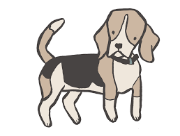 Maybe you would like to learn more about one of these? Bath And Tidy Pet Grooming Calgary Alberta About Us