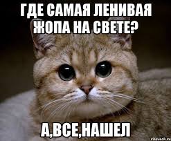 https://encrypted-tbn0.gstatic.com/images?q=tbn:ANd9GcSNGNNjEvHchvmciiNUI5CR1tyat35hOb0MmiLgGIXVb1Gq4MFSmQ
