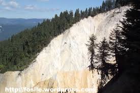 Acum în baia de arieș. Baia De Aries Fosile Si Pietre