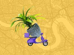 Plant delivery service offer you the opportunity to send plants to an office, home or hospital. 11 Of The Best Houseplant Delivery Services In London