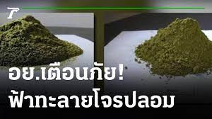 Maybe you would like to learn more about one of these? à¸­à¸¢ à¸•à¸£à¸§à¸ˆà¸žà¸šà¸Ÿ à¸²à¸—à¸°à¸¥à¸²à¸¢à¹‚à¸ˆà¸£à¸›à¸¥à¸­à¸¡ 26 07 64 à¸‚ à¸²à¸§à¹€à¸¢ à¸™à¹„à¸—à¸¢à¸£ à¸ Youtube