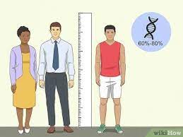 How To Become Taller Naturally: 12 Steps (With Pictures) - Wikihow Life