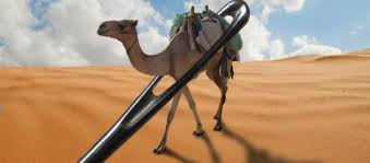 Since camels were heavily loaded with goods and riders, they would need to his explanation of jesus's parable implied that a rich man wanting to enter the kingdom of heaven had to unload a lot of baggage, like a camel going. Can The Rich Inherit The Kingdom Of God A Russian Orthodox Church Website