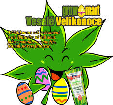 „hody, hody doprovody, dejte vejce jestli dojde dříve na pomlázku, nebo koledy, záleží na situaci. Velikonocni Darek Konopny Balzam Informace Tradice Velikonoc A Koledy