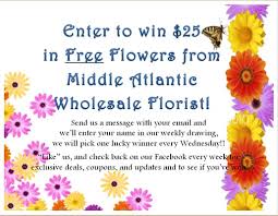 Fifi flower llc is a wedding florist located in alexandria, virginia that specializes in creating custom designs without the high price tag. Middle Atlantic Wholesale Florist 23 Reviews Florists 4406 Wheeler Ave Alexandria Va Phone Number Yelp