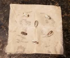 We did not find results for: Here S An Easy Fun Way To Germinate Seeds In A Paper Towel