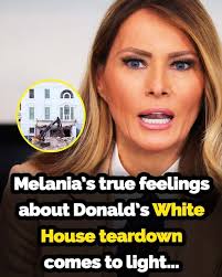 What will Donald say... 😮😮 Check the first comment 👇