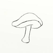 How To Draw A Mushroom Mushroom Drawing Stuffed Mushrooms Mushroom Art