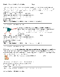 Use browser document reader options to download and/or print. 28 Darwin Natural Selection Worksheet Answers Worksheet Resource Plans