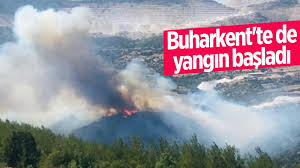 Aydın'da 24 saat yangın nöbeti. Lmmia269bqonhm