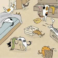 Olay Yeri Inceleme Ekibi Kedi Kedim Kediaski Kedisevgisi Cat Catsofinstagram Cats Illustration Crazy Cats Cat Illustration