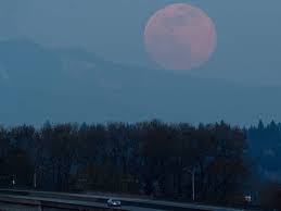 Love, supermoon tells a story about a male and a female that have life of their own but meet each other once in a while at wedding ceremonies or parties organized by their friends. Pink Moon In April Is First Supermoon Of 2021 How To Watch