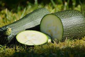 Production is very high, even in less favorable weather conditions. Black Beauty Zucchini Top Seed Sold Heirloom Seed Solutions