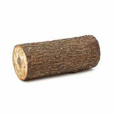 This usually means that the base is really 10. Shiitake Mushroom Log Kit Food Gifts Garden Gifts Uncommon Goods
