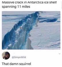 That S Gotta Be The Best Pirate I Ve Ever Seen Meme Compilation Memes Memes Funny Funny Memes Funny Memes Videos Meme Faces Meme Faces Reaction Meme Faces Reaction Videos Funny Pictures Memes Sarcastic Very Funny Pictures