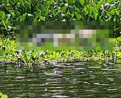 We did not find results for: Corpo Encontrado No Rio Jacuipe E De Medico Desaparecido Confirma Policia Civil Mae Ja Esta Na Bahia Aratu On
