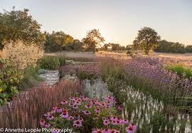 Ein Schoner Garten Ein Schones Bild Und Eine Gluckliche Fotografin A Beautiful Garden A Beautiful Image And A Happy Photographer Beautiful Gardens Landscape Design Outdoor Gardens