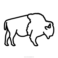 Most relevant best selling latest uploads. Buffalo Coloring Page Ultra Coloring Pages