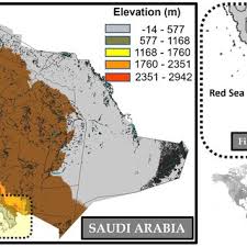 Image result for Harpachne